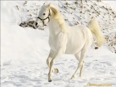 Qu'est-ce que l'impulsion ?