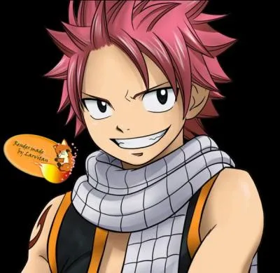 Que signifie Natsu en Japonais ?