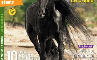 Quiz Chevaux