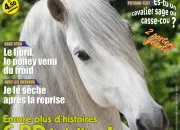 Quiz Le fjord, un poney venu du froid : le connais-tu bien ?