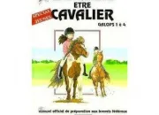 Quiz Galop 4 : thorie et pratique