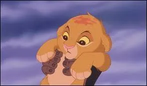 Comment s'appelle l'enfant de Simba et Nala ?