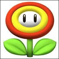 Combien d'essais nous laisse la Fleur de Feu avant de mourir dans Mario Bros ?