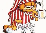 Quiz Garfield (BD)