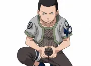 Quiz Naruto spcial Shikamaru