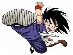 Quel est le vrai nom de Sangoku ?