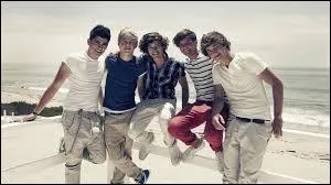 En quelle anne est sorti  What Makes You Beautiful  ?