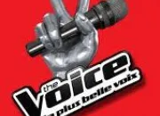 Quiz The Voice