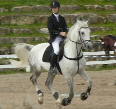 Quiz Equitation