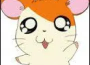 Quiz Hamtaro : les personnages