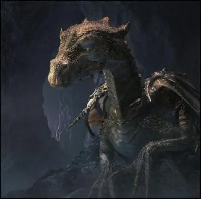 Quel est le nom de ce dragon ?