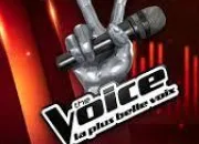 Quiz Quiz The Voice 3