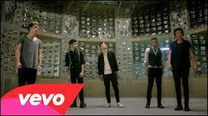 Que montrent les One Direction dans ce clip ?