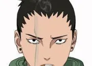 Quiz Naruto : Shikamaru Nara