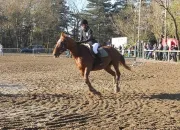 Quiz Quizz galop 1