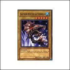 De quel type est ce Yu-Gi-Oh ! ?