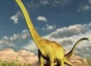 Quiz Sur la trace des dinosaures