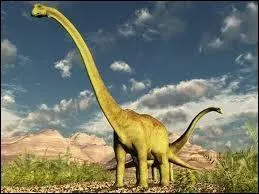 De quel ordre est le diplodocus ?