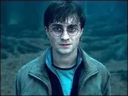 Commenons avec Potter, Harry Potter. Il en a, des surnoms, mais le plus clbre est bien entendu :