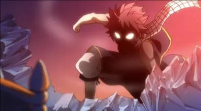 Quelles informations concernant Natsu sont justes ?