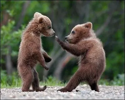 Dans quel sport l'expression  en garde  est-elle prononce ?