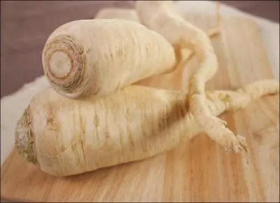 Cette plante est cultivée pour ses feuilles, hachées menues, elles accompagnent de nombreux plats, ce que l'on ignore, c'est que pour certaines espèces, son tubercule est également comestible !