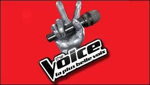 Qu'est-ce que  The Voice  ?