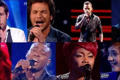 Qui n'est pas un finaliste de la finale de The Voice ?