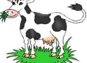 Quiz La vache dans les expressions