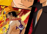 Quiz One Piece