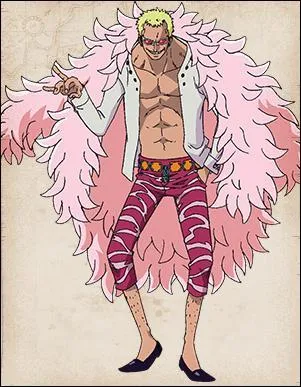 Quel est le nom de l'île où "vit" Quichotte Doflamingo ?