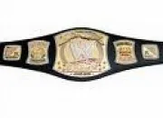 Quiz Wwe champion