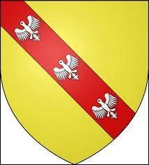 En langage hraldique, quelles sont les couleurs que vous voyez sur ce blason ?