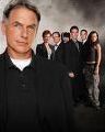 Quiz Ncis