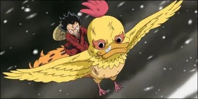 Comment s'appelle l'oiseau sur lequel est Luffy ?