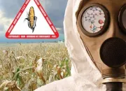 Quiz 'Le monde selon Monsanto' de Marie-Monique Robin