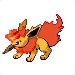 Il s'agit d'une fusion de deux Pokémon de type Feu. L'un d'eux est Légendaire et est de type Vol ! Quant à l'autre, il a eu besoin d'une pierre feu pour évoluer.