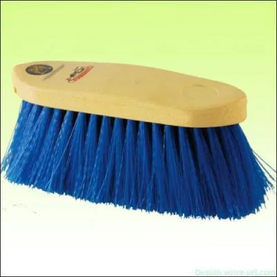 Quelle est cette brosse ?