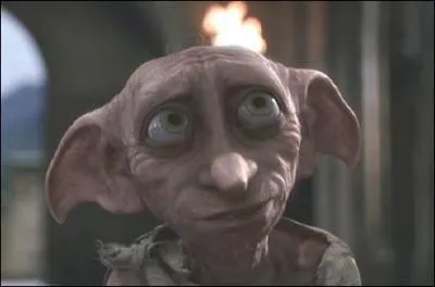 On va commencer facilement. Qu'est-ce que Dobby, ou plutôt qui est-il ?