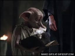 Quiz - Duvidamos que você saiba se estas afirmações sobre Dobby de