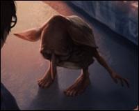 Quiz - Duvidamos que você saiba se estas afirmações sobre Dobby de