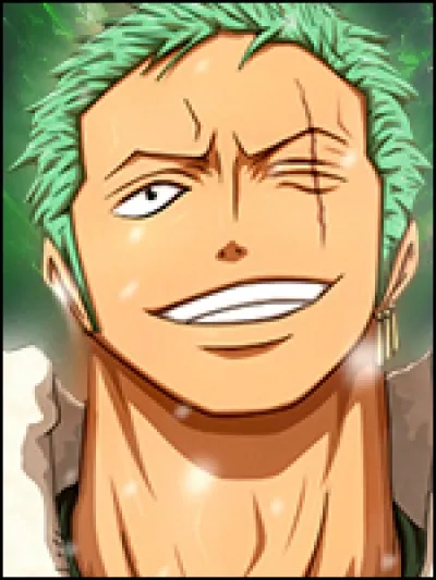 Quels sont les surnoms de Roronoa Zoro ?