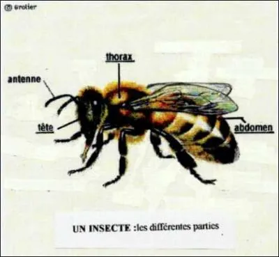 Elabor au XXme sicle,  l'index Schmidt  voque la pnibilit . De quoi ?