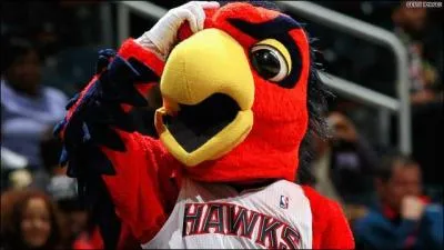 De quelle équipe "Harry the Hawk" est-il la mascotte ?