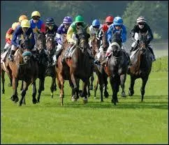 À combien varient les distances par des pur-sang lors des courses de plat ?