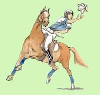 Quiz Equitation