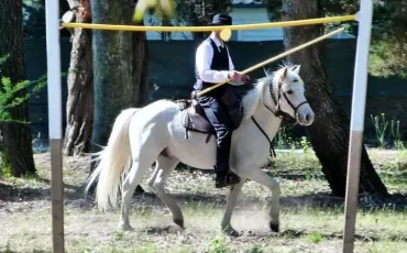 Quiz Chevaux