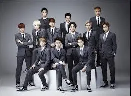 Combien sont-ils dans EXO-K ?