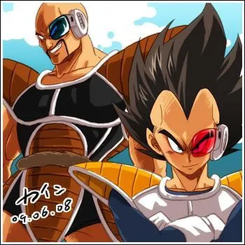 Après la mort de Raditz, Pourquoi Végéta et Nappa vont-ils sur Terre ?