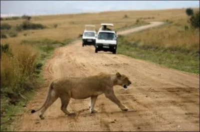 Retrouvez le surnom d'un roi grâce à l'animal !